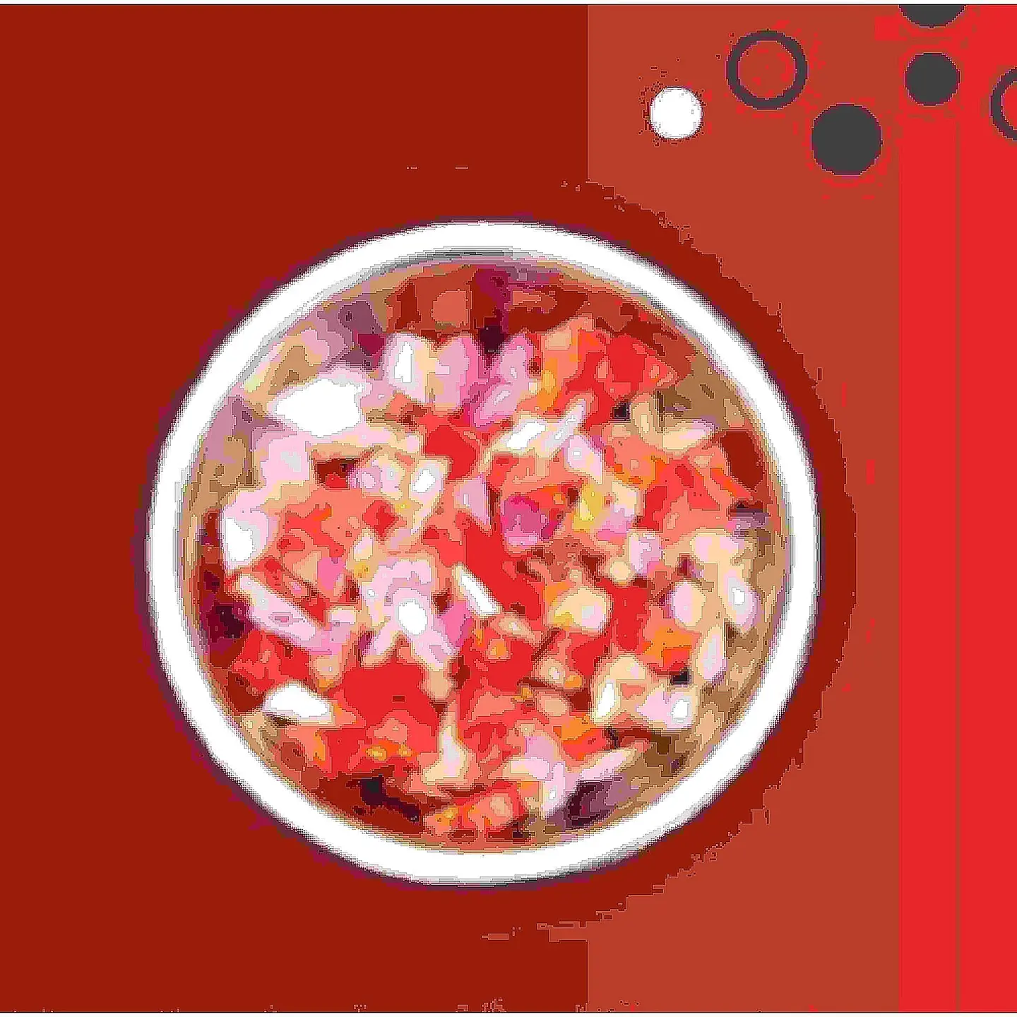 Afghani Salad