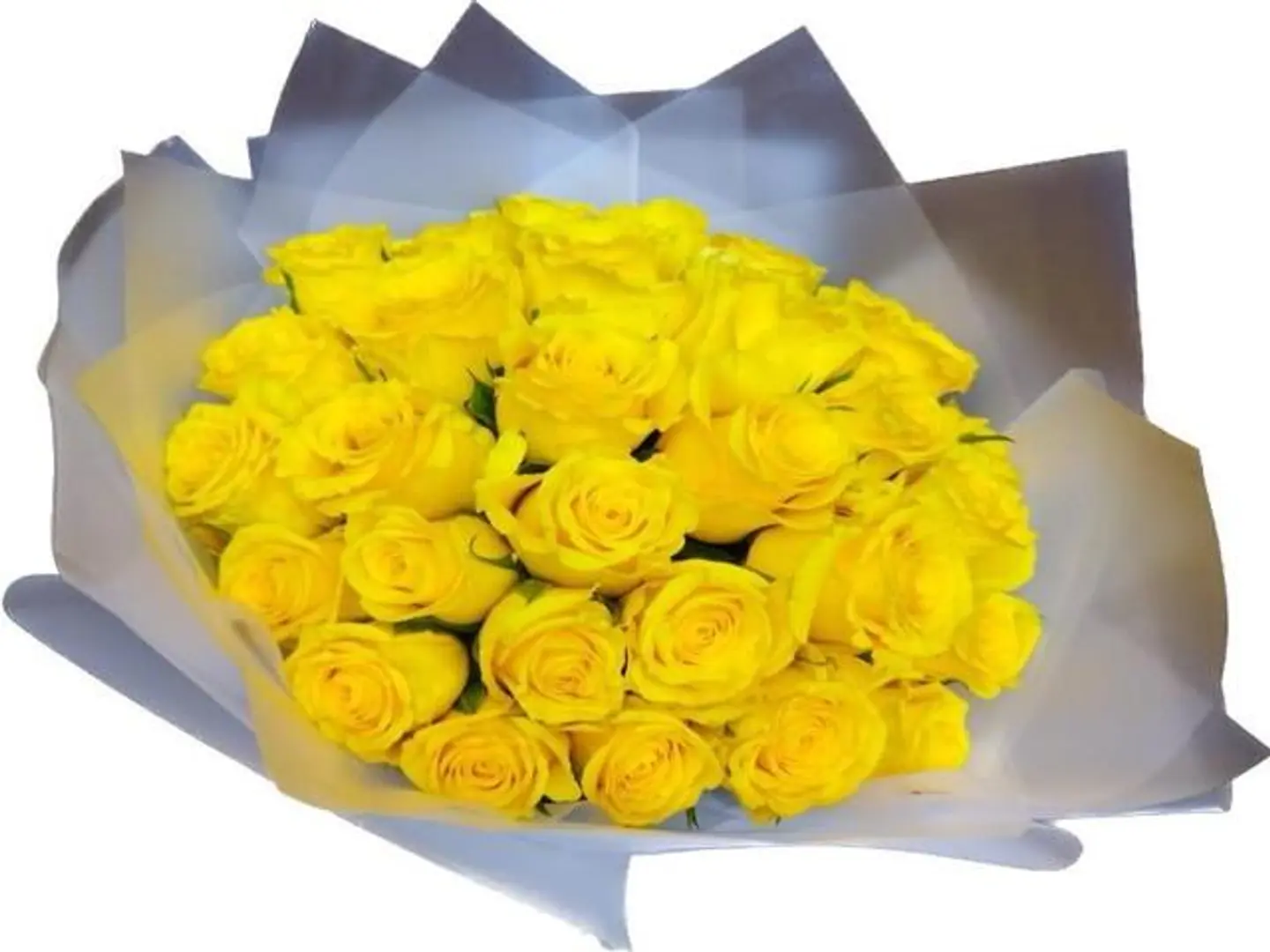 بوكيه دائري أصفر