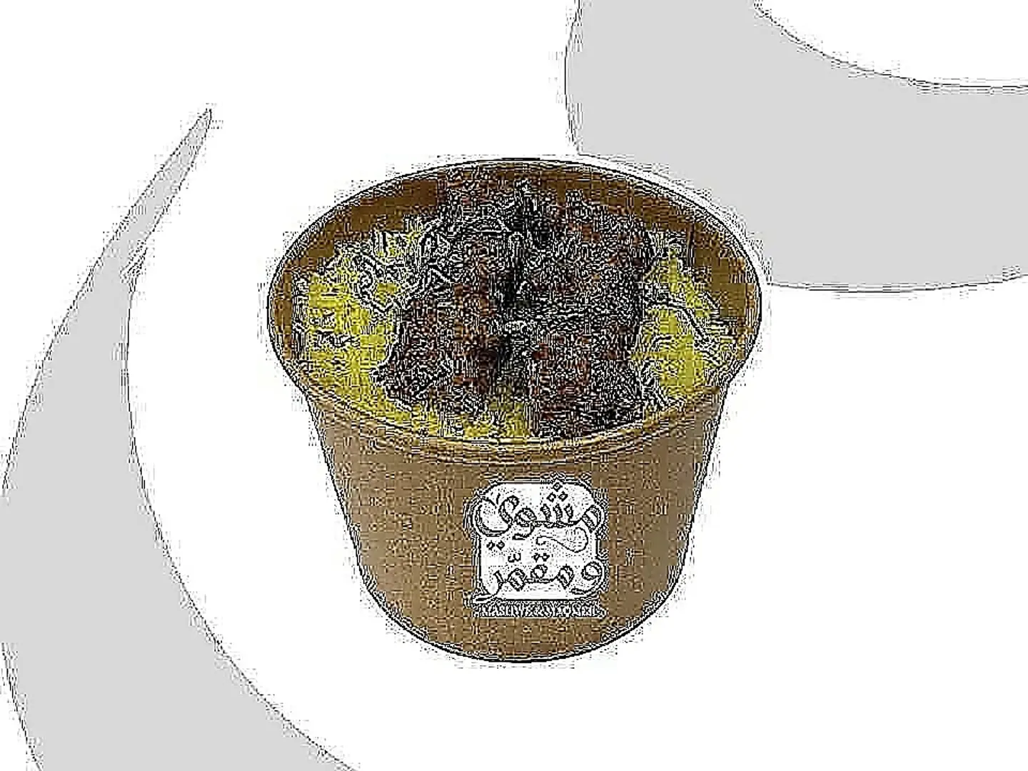 كب ارز مع سيخ مشوي