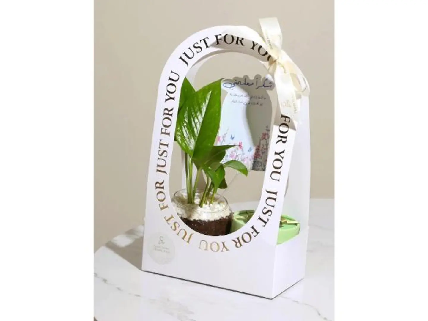 هدية البوتس وشوكلت