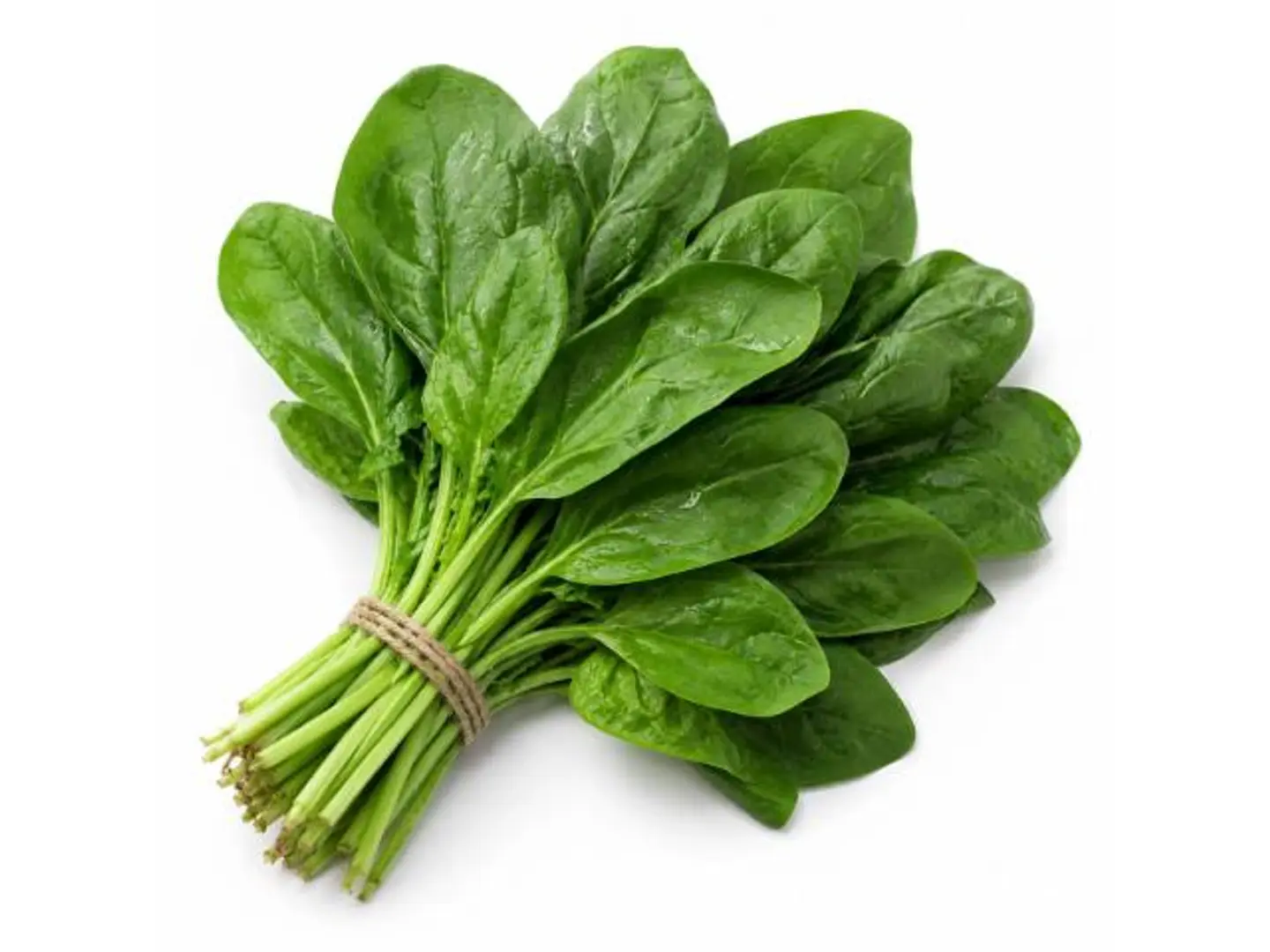 Bundle Of Spinach