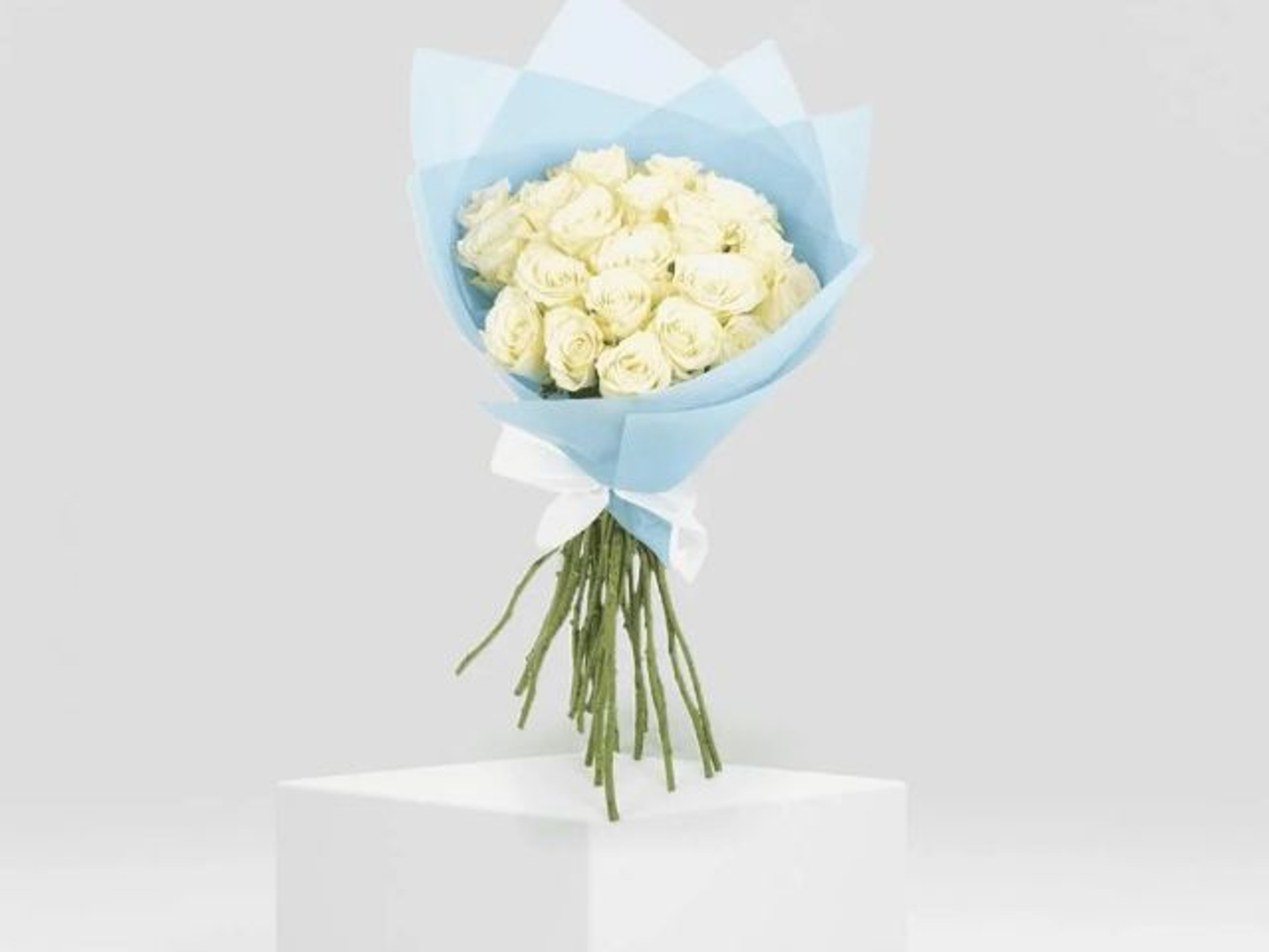 باقة نور السماء