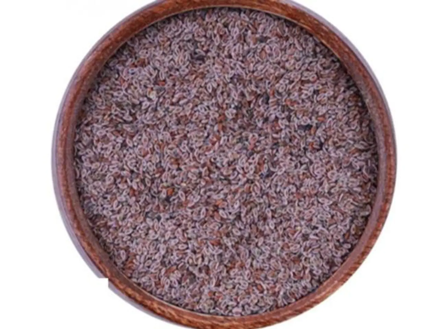 Qatwanh Seeds