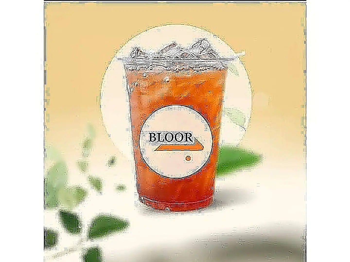 ايس تي باشن فروت