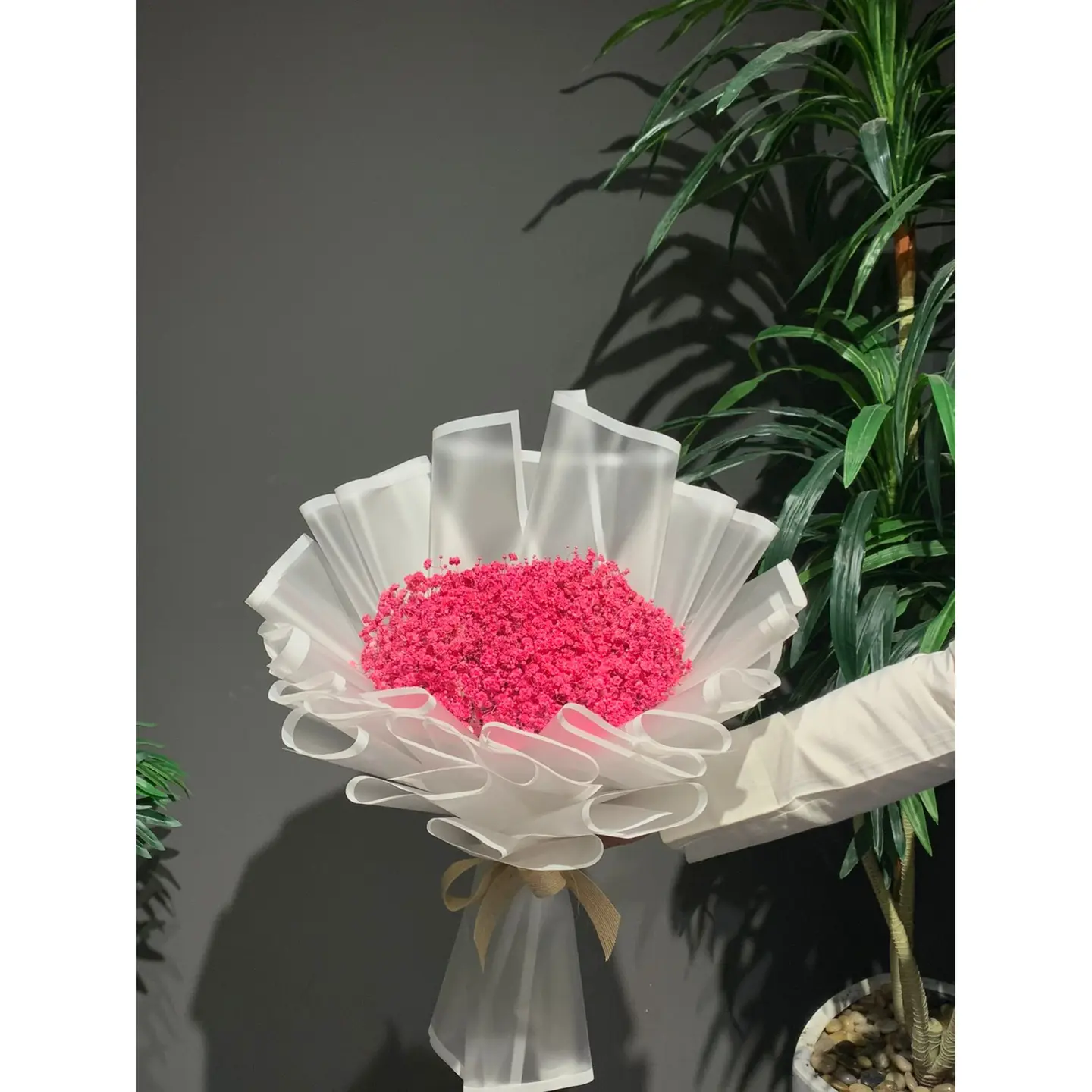 Pink Gypsum