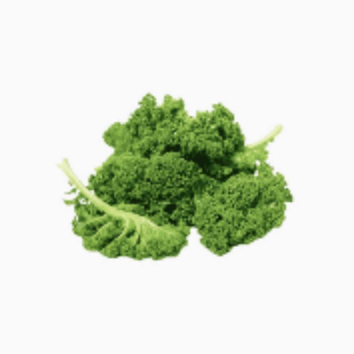 Organic Green Kale Bowl