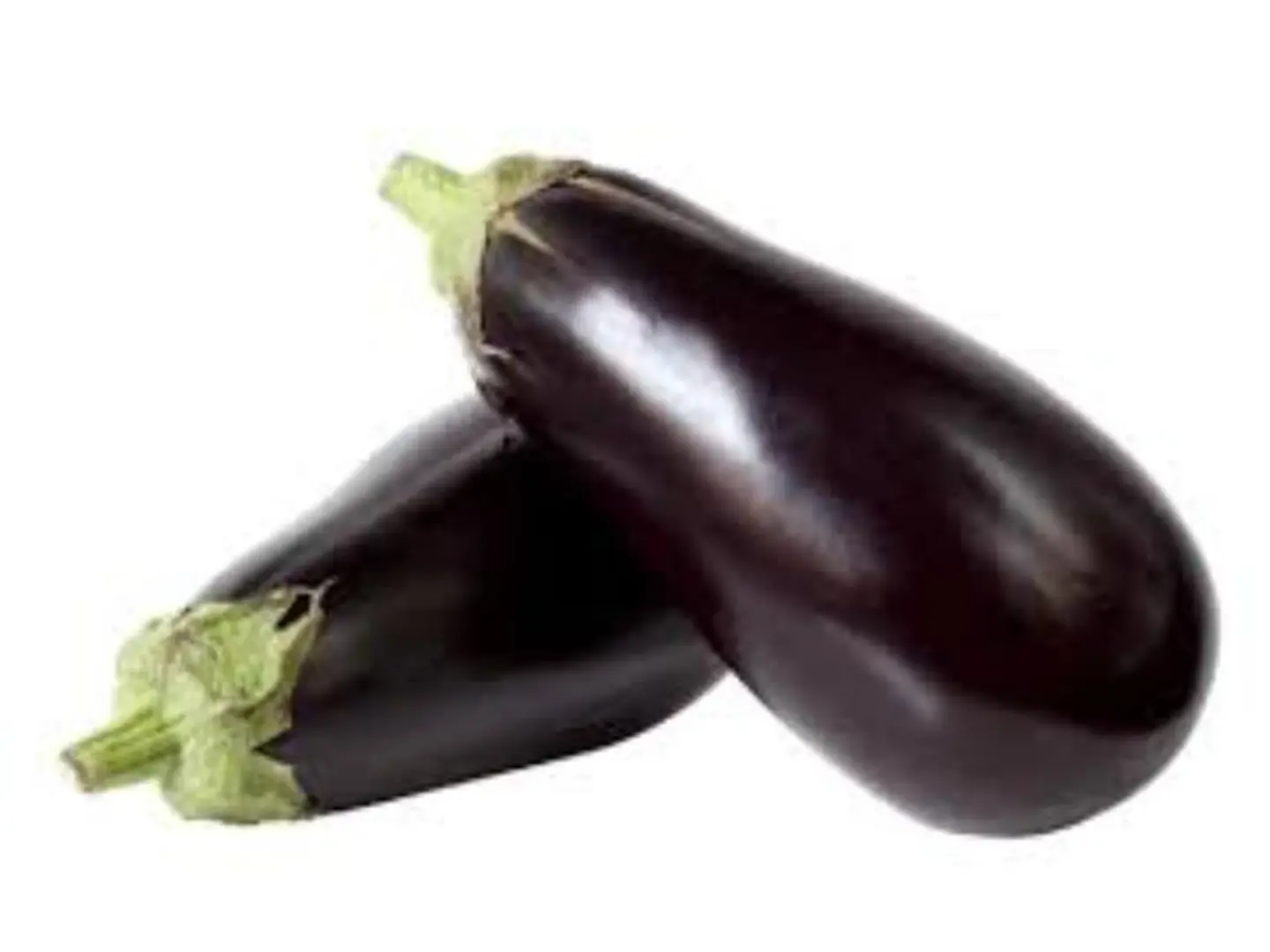 Eggplant Holland