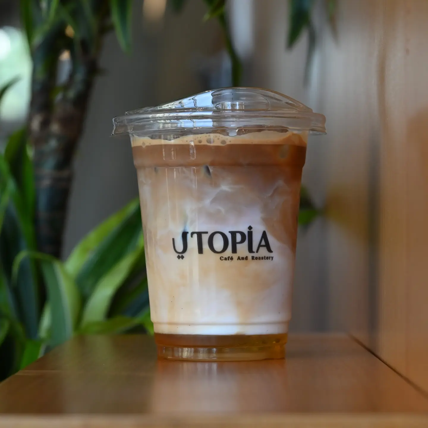 Iced Vanilla Latte