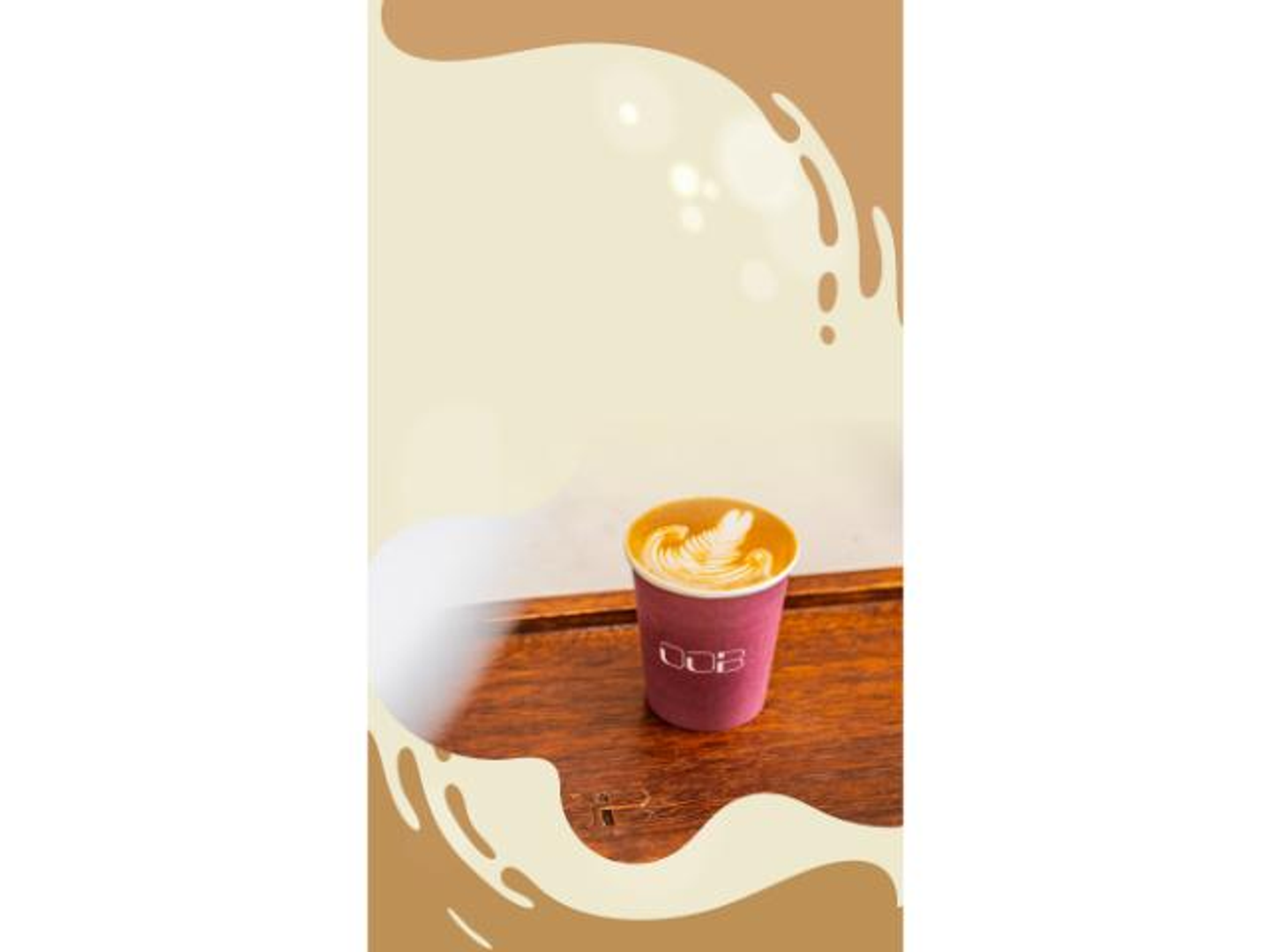 فلات وايت