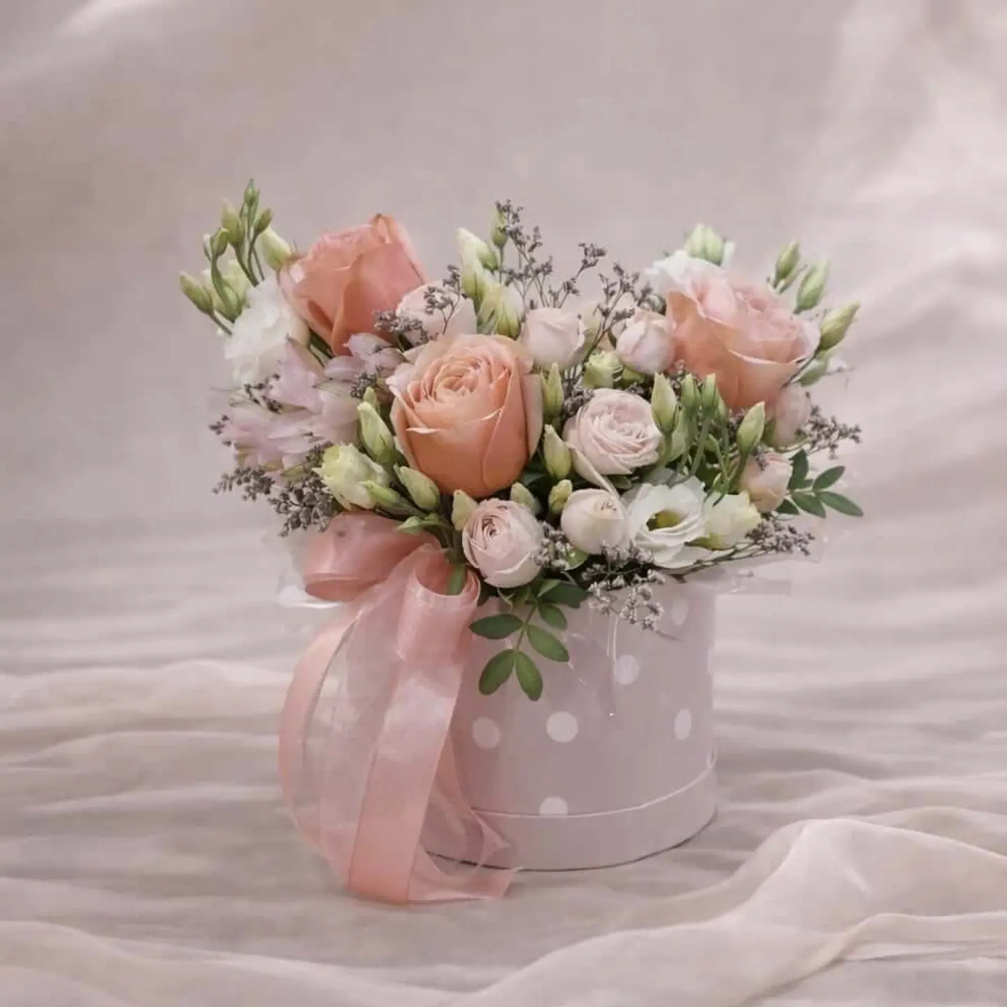 بولكا دوت بوكس