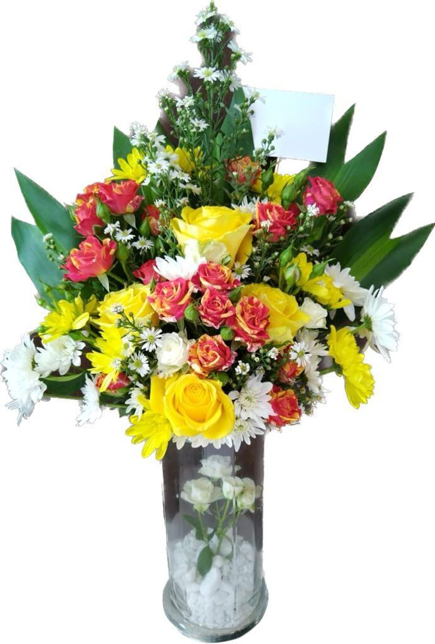 فازة 60