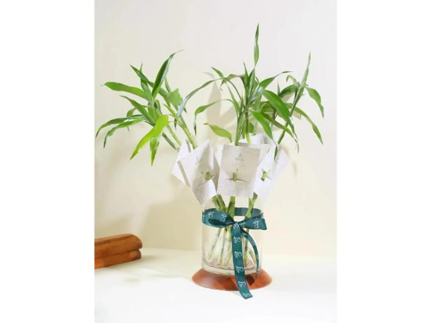 توزيعات مناسباتكم 6 سيقان البامبو بتعليقات العيد