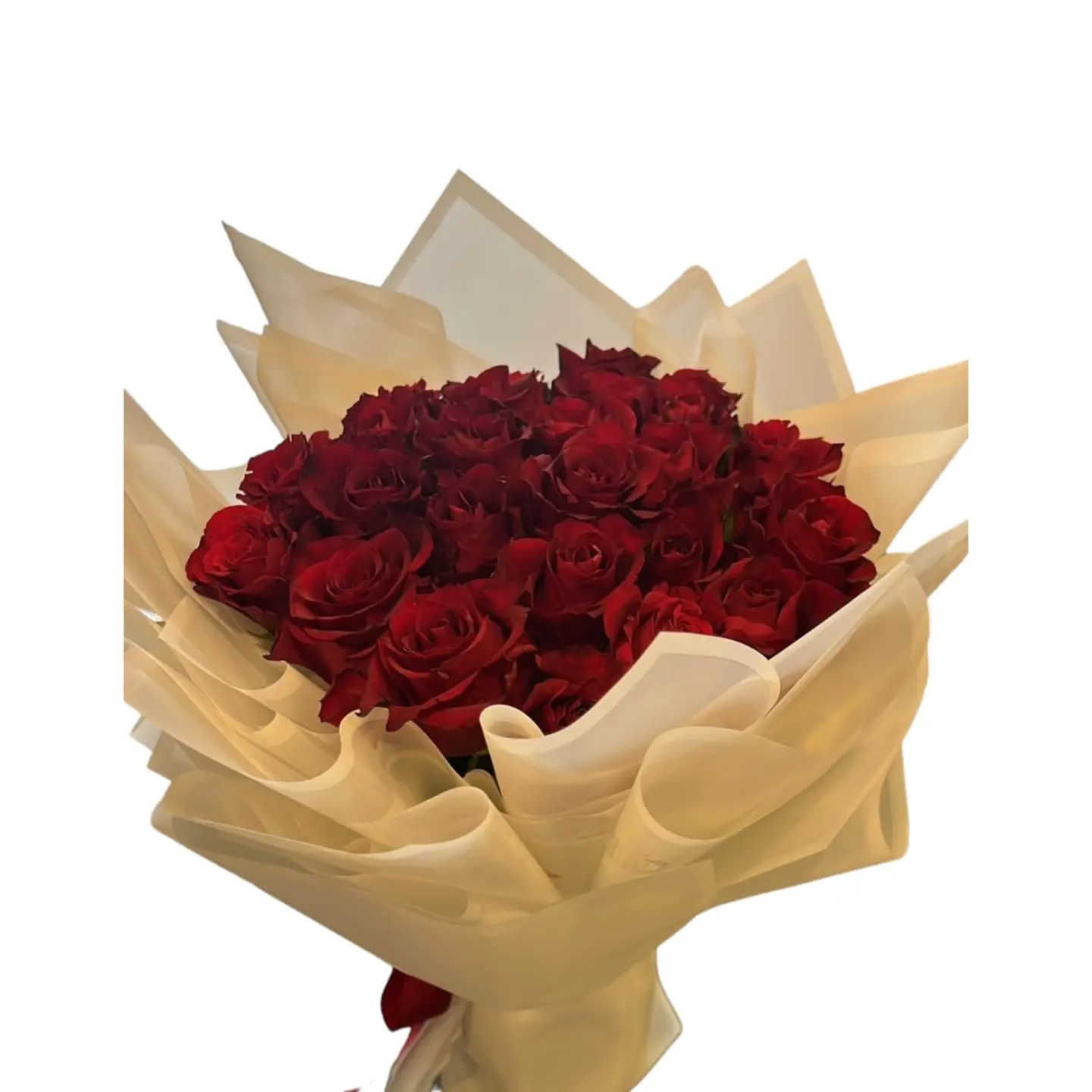 بوكية ملامح