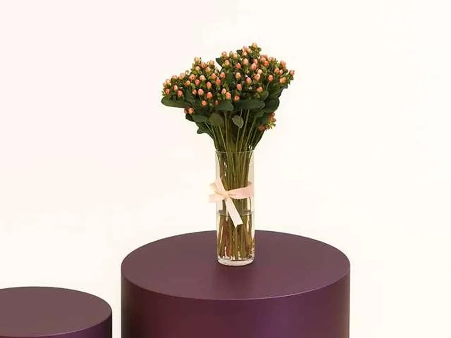 فازة الهدوء8