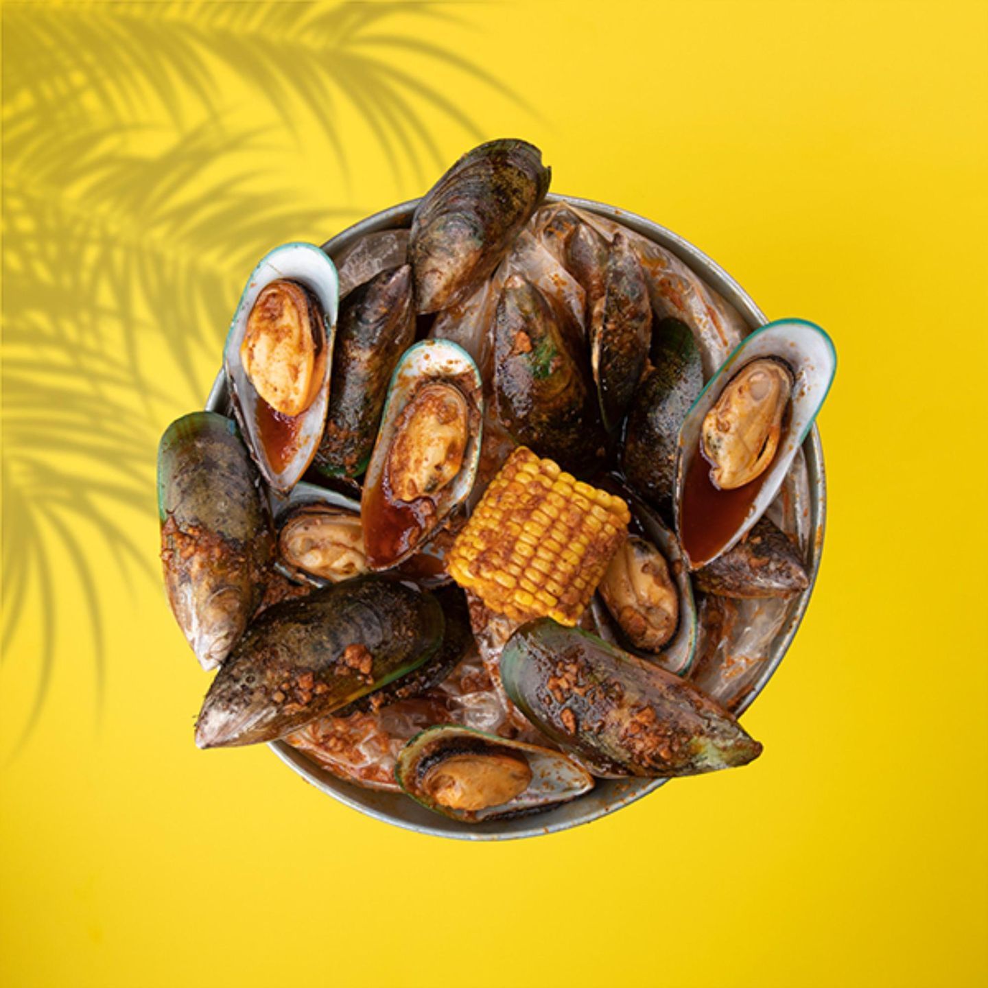 Mussels