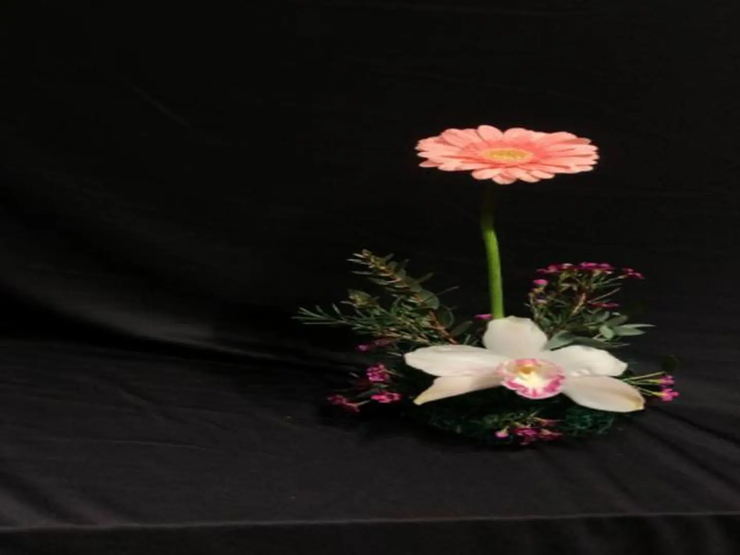 تنسيق توزيعات طاولة