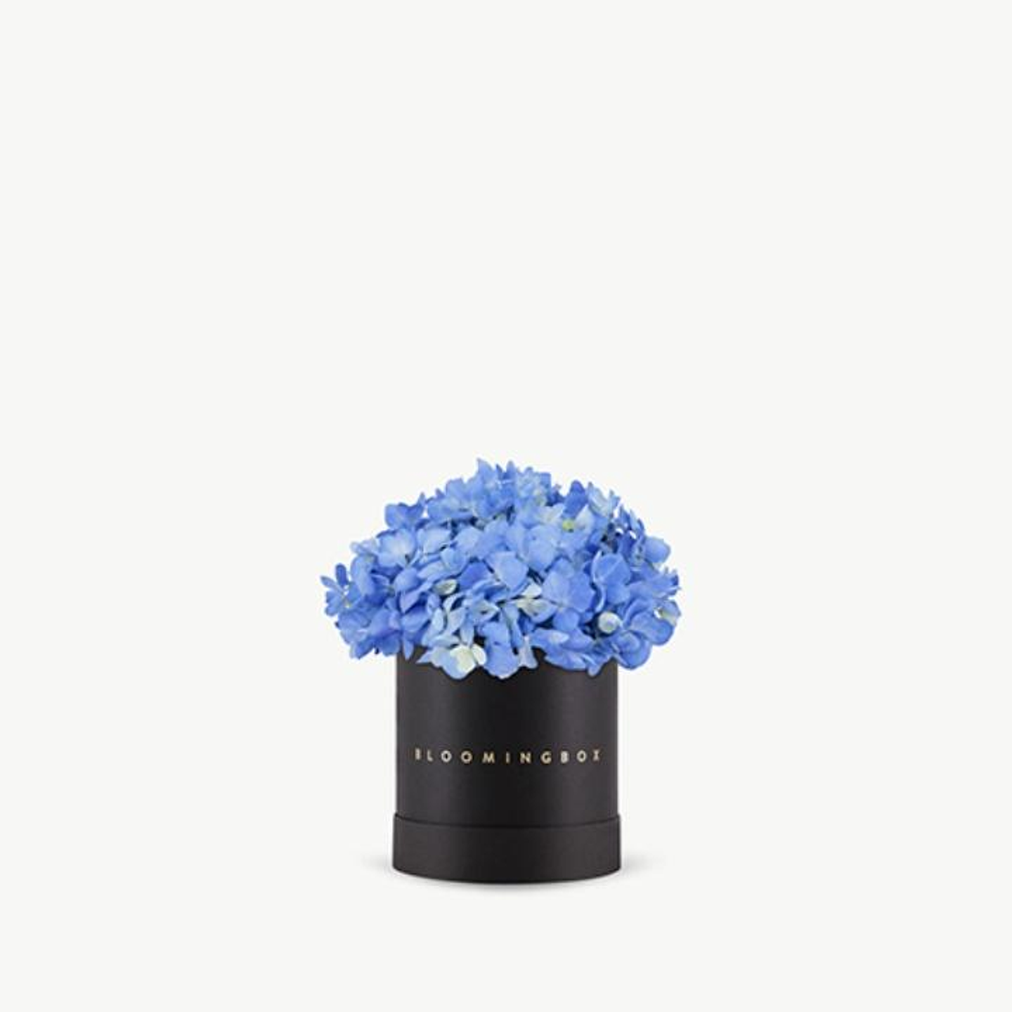 Classic Hydrangeas Box Small