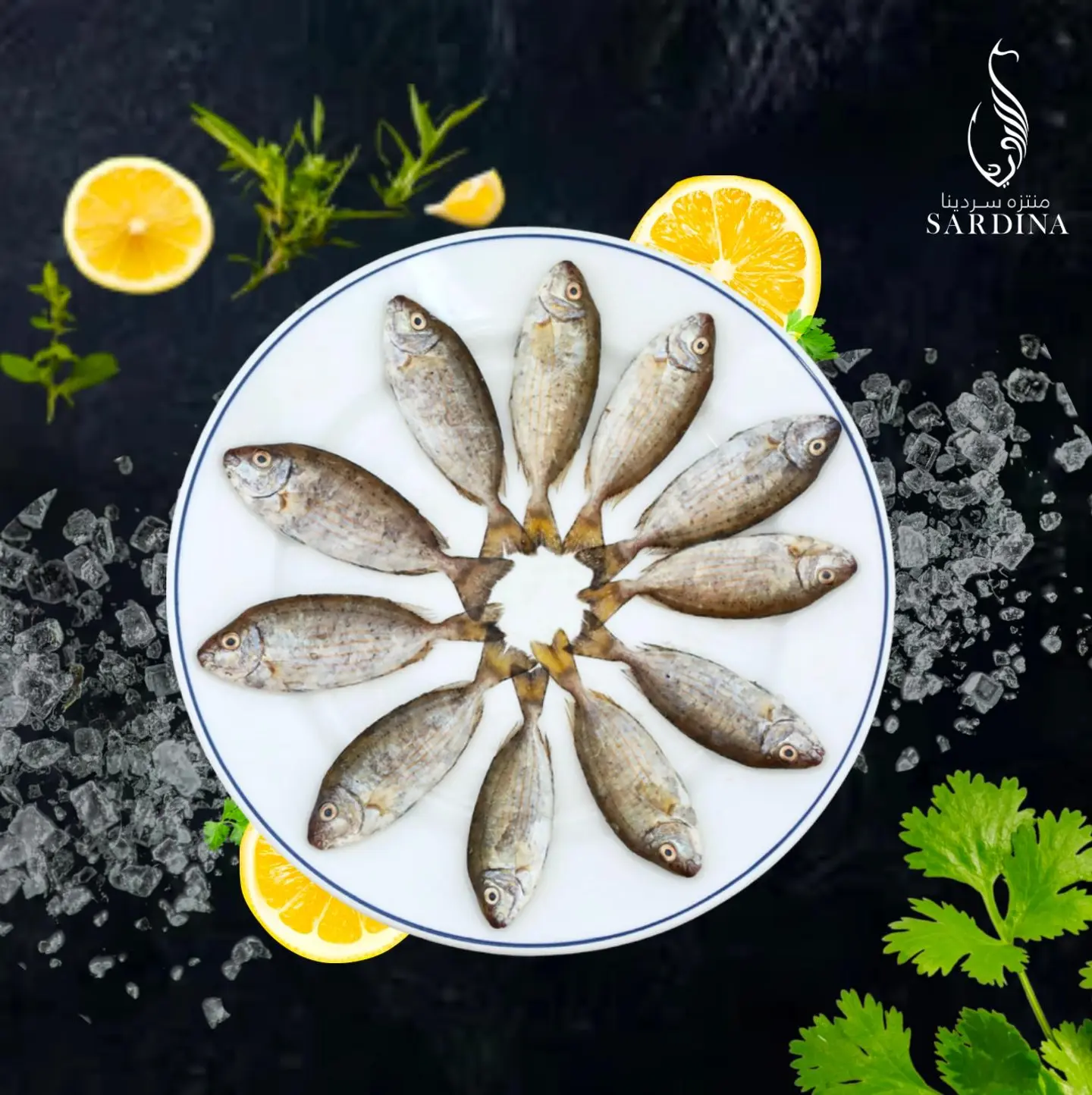 Grilled Sigan Fish