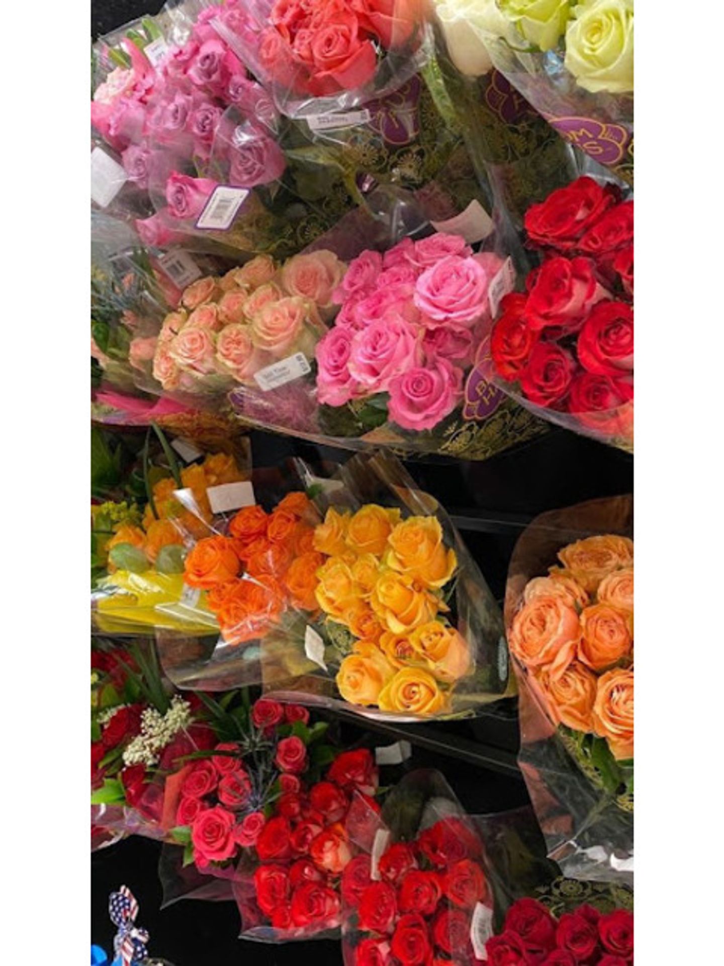 Rose Flower