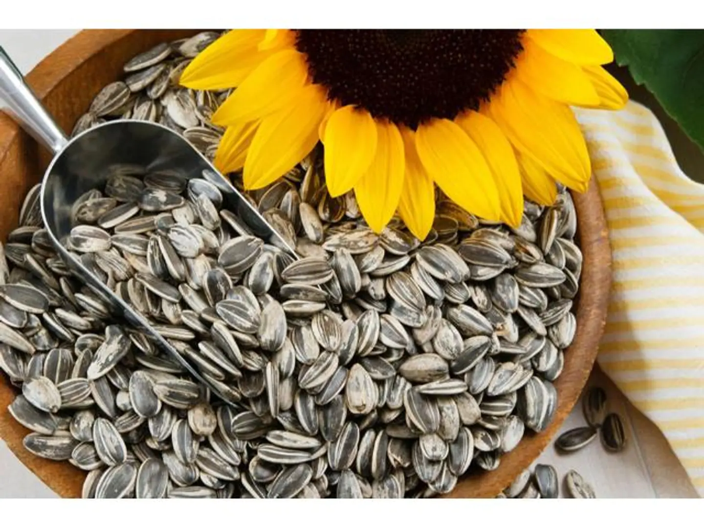 Sunflower Seeds