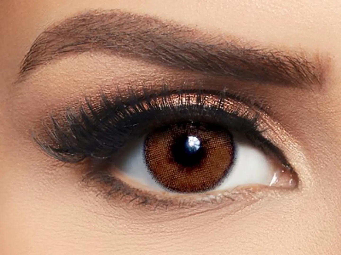 Layala Avena Brown Colored Lenses Pack Of 2 Contact Lens Replacement 3 Months