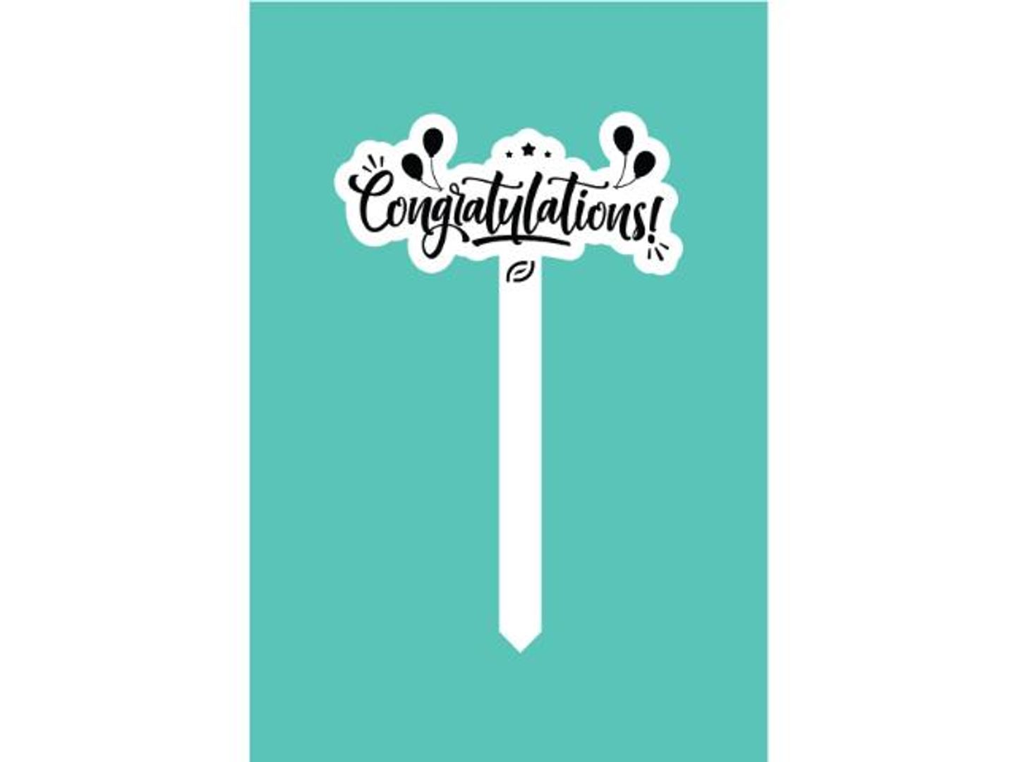 Graduation Cake Topper