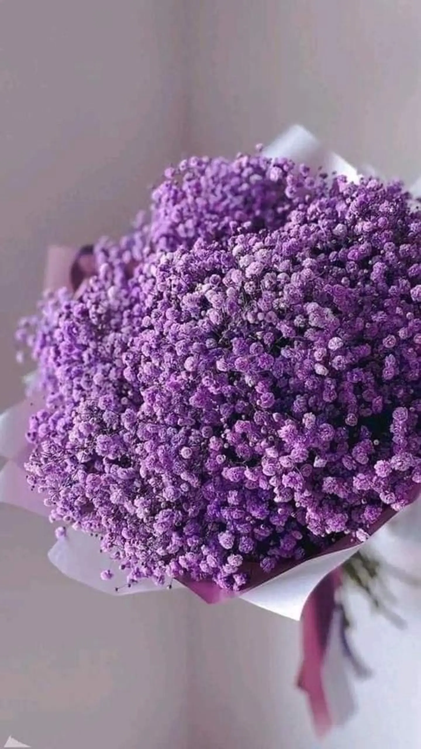 Mauve Gypsophila Bouquet