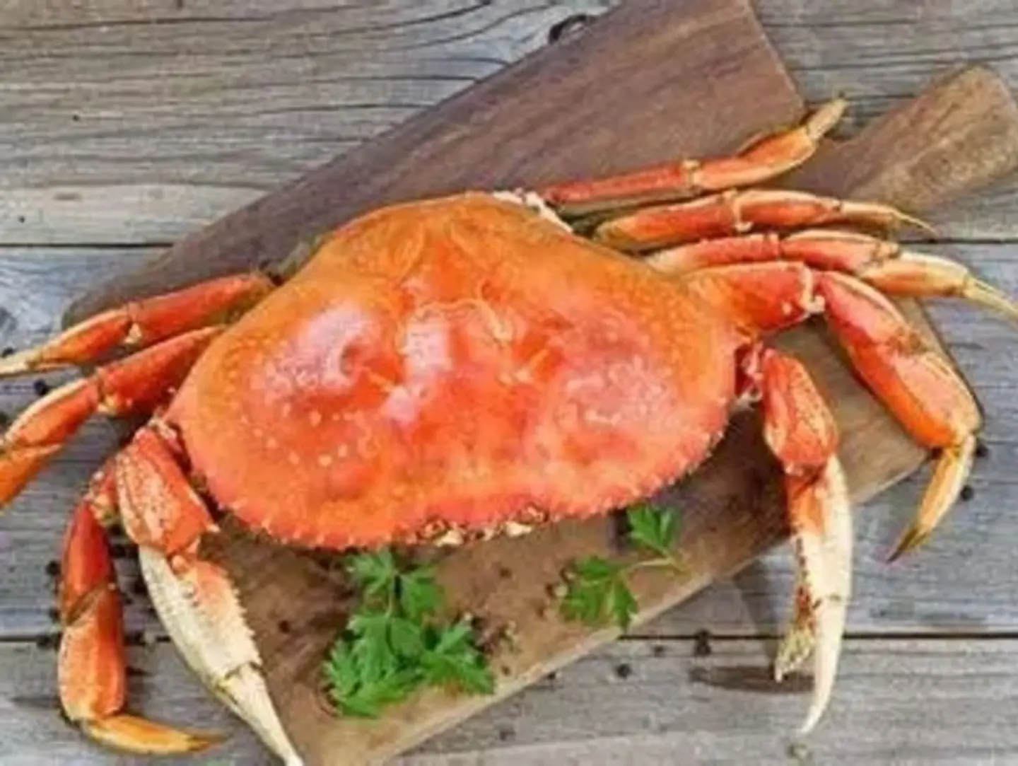 Fresh Crab