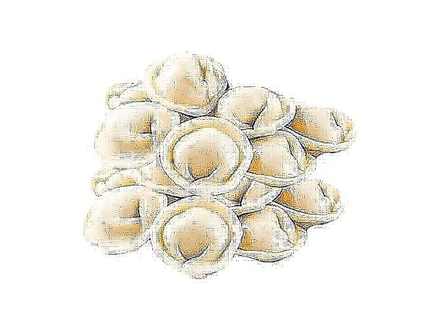 Shishbarak With Meat