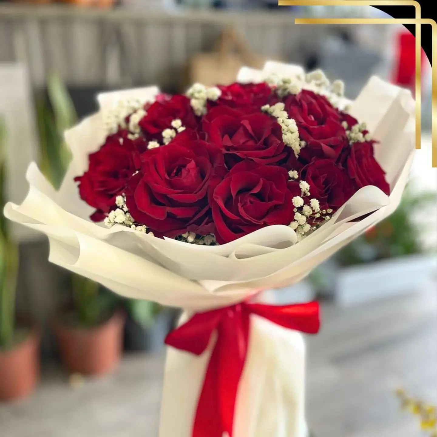15 Red Flowers Bouquet With White Jipso White Reaping