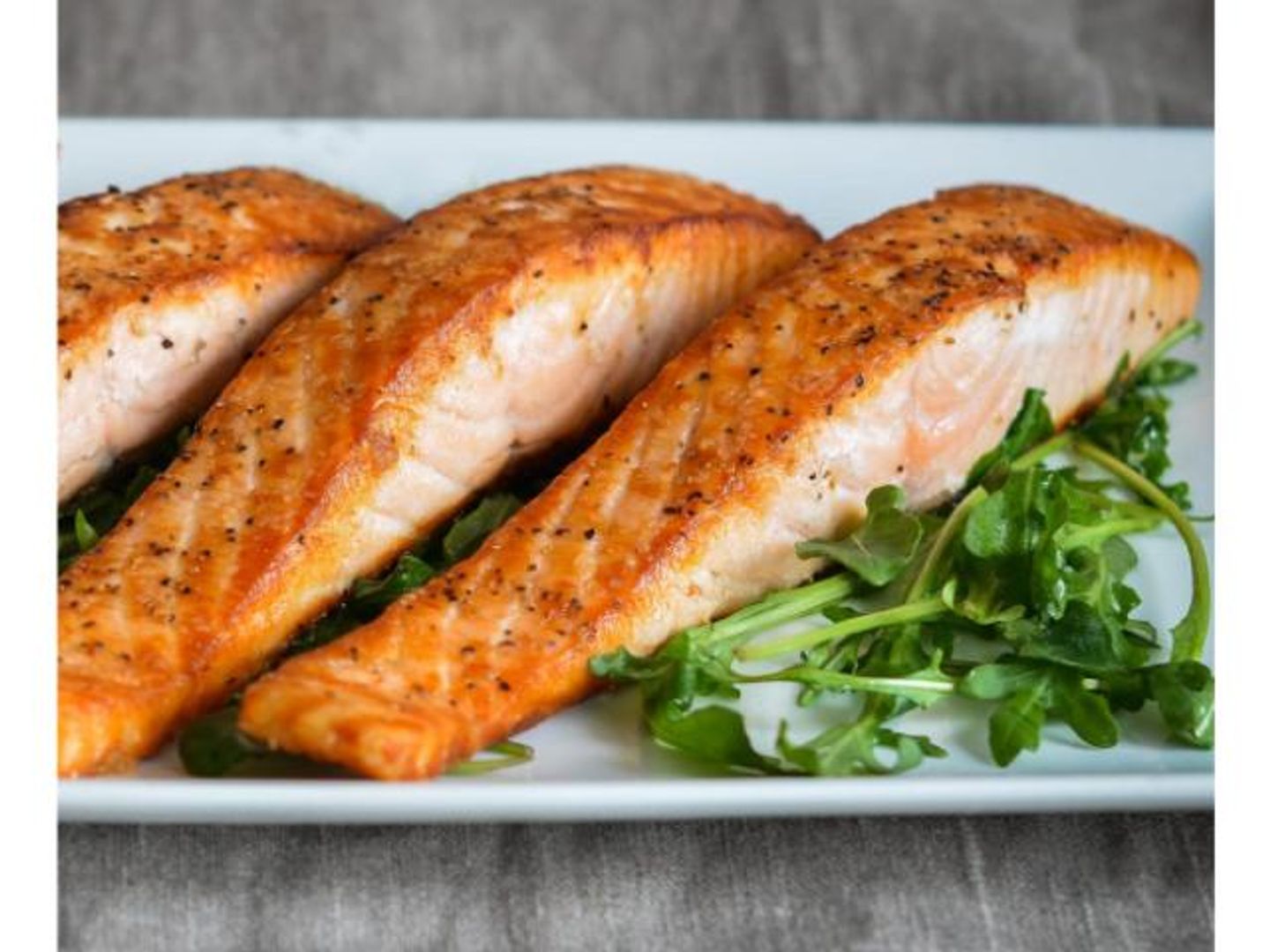 Salmon