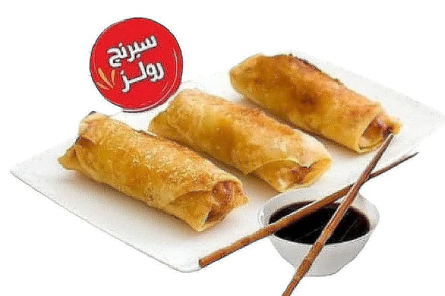 Vegetable Spring Roll