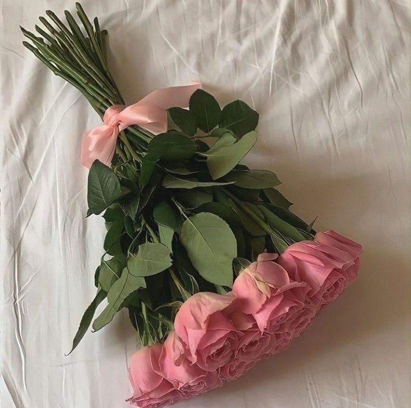 دفئ