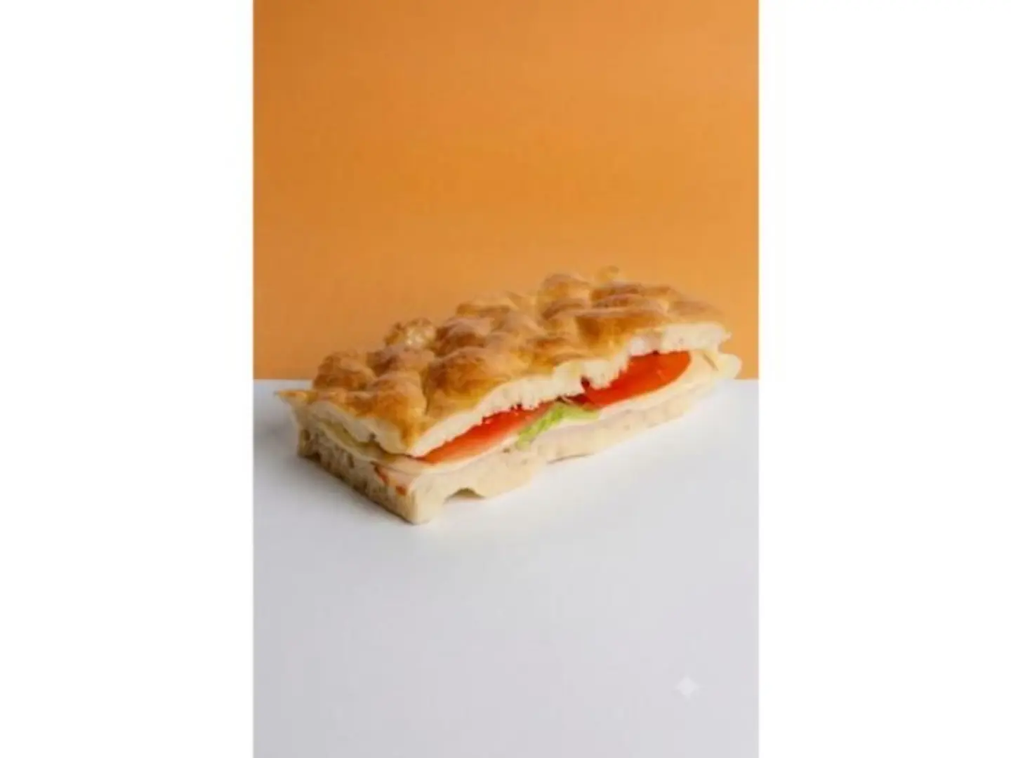 ساندوتش ديك رومي