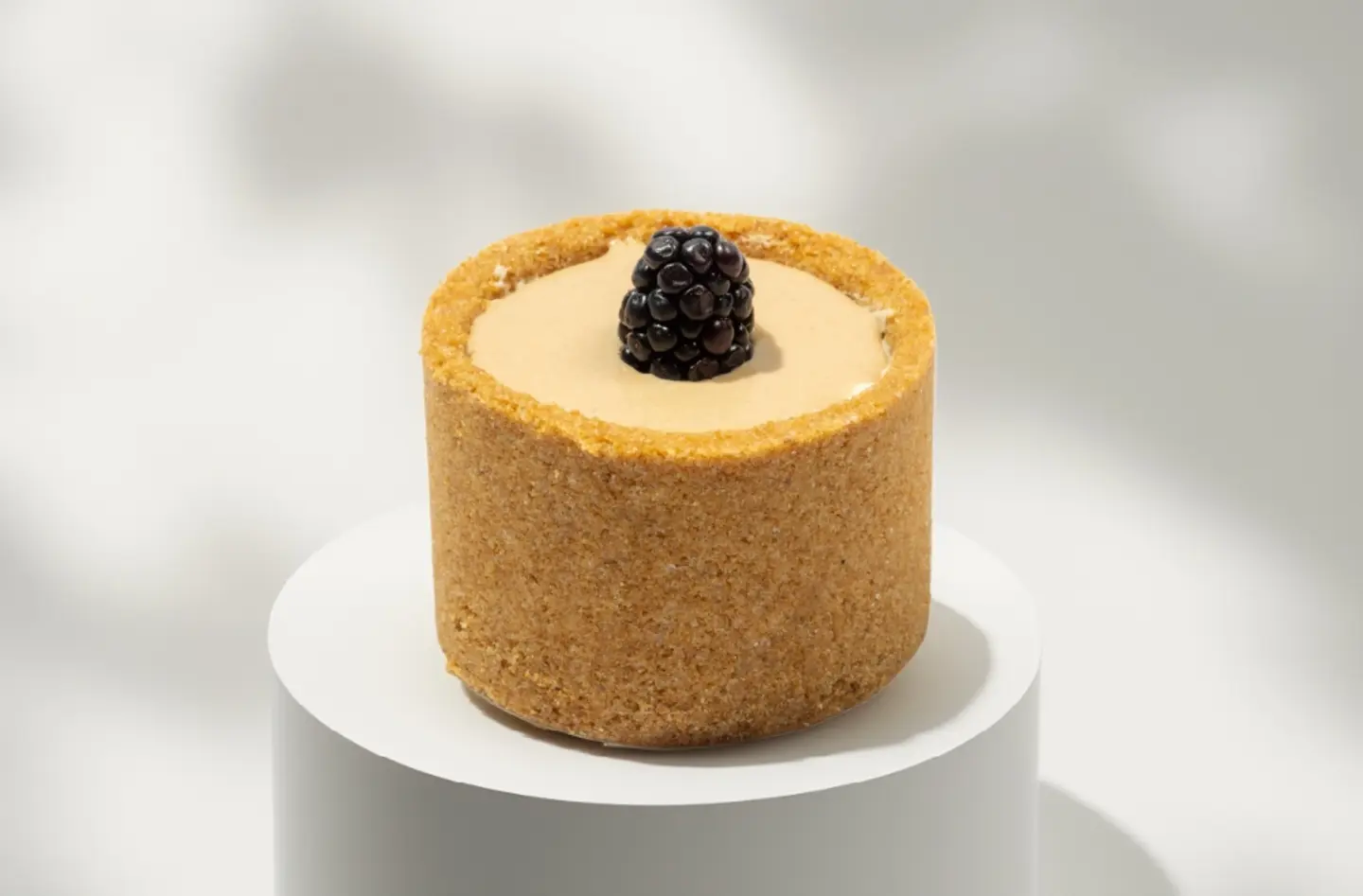 Moltin Cheese Cake