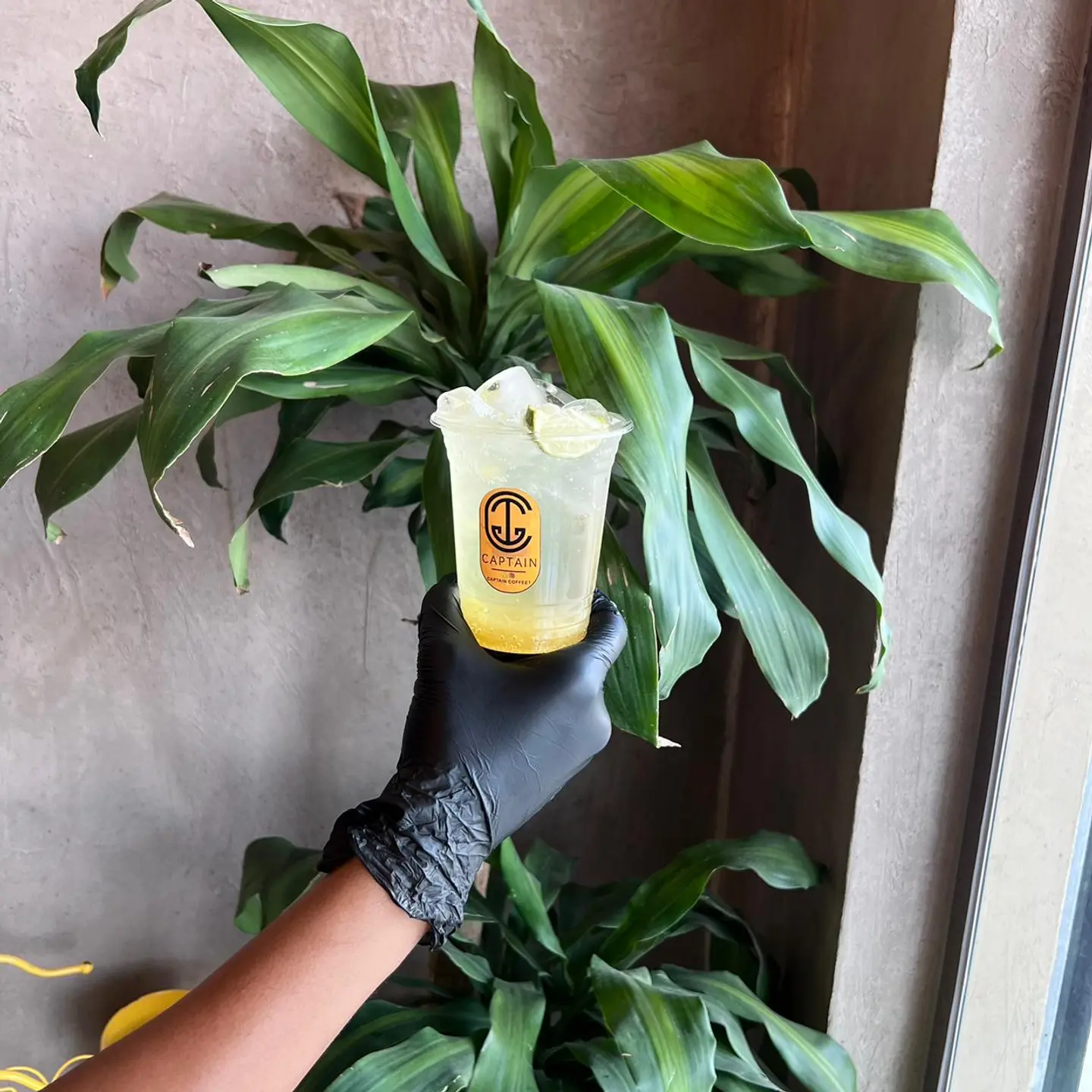 Pineapple Mojito