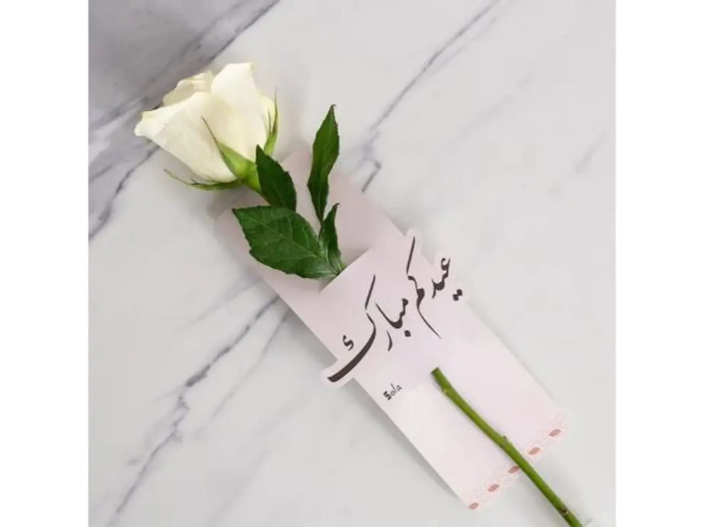 تاق وردة العيد