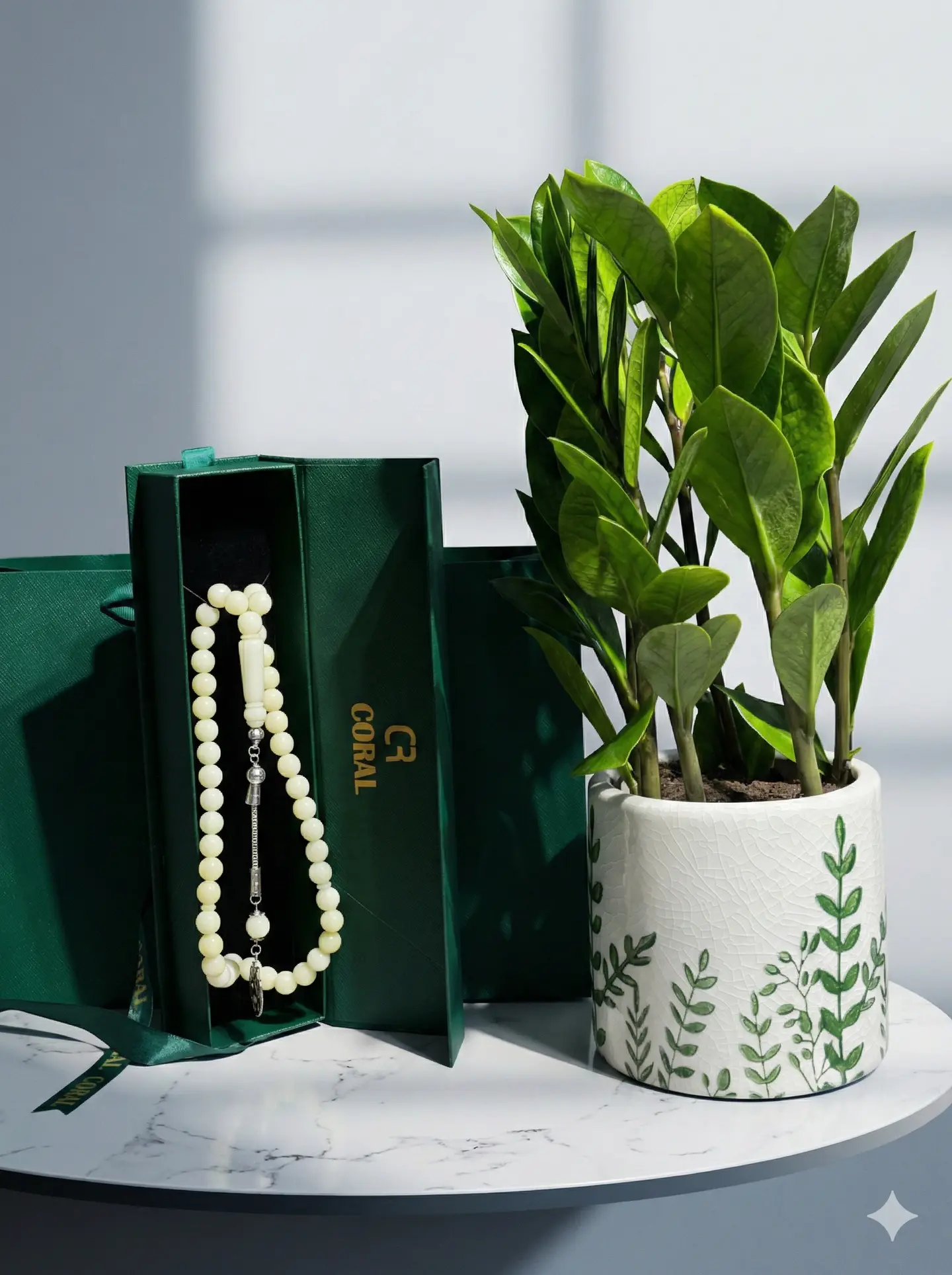 نبتة زاميا مع سبحة