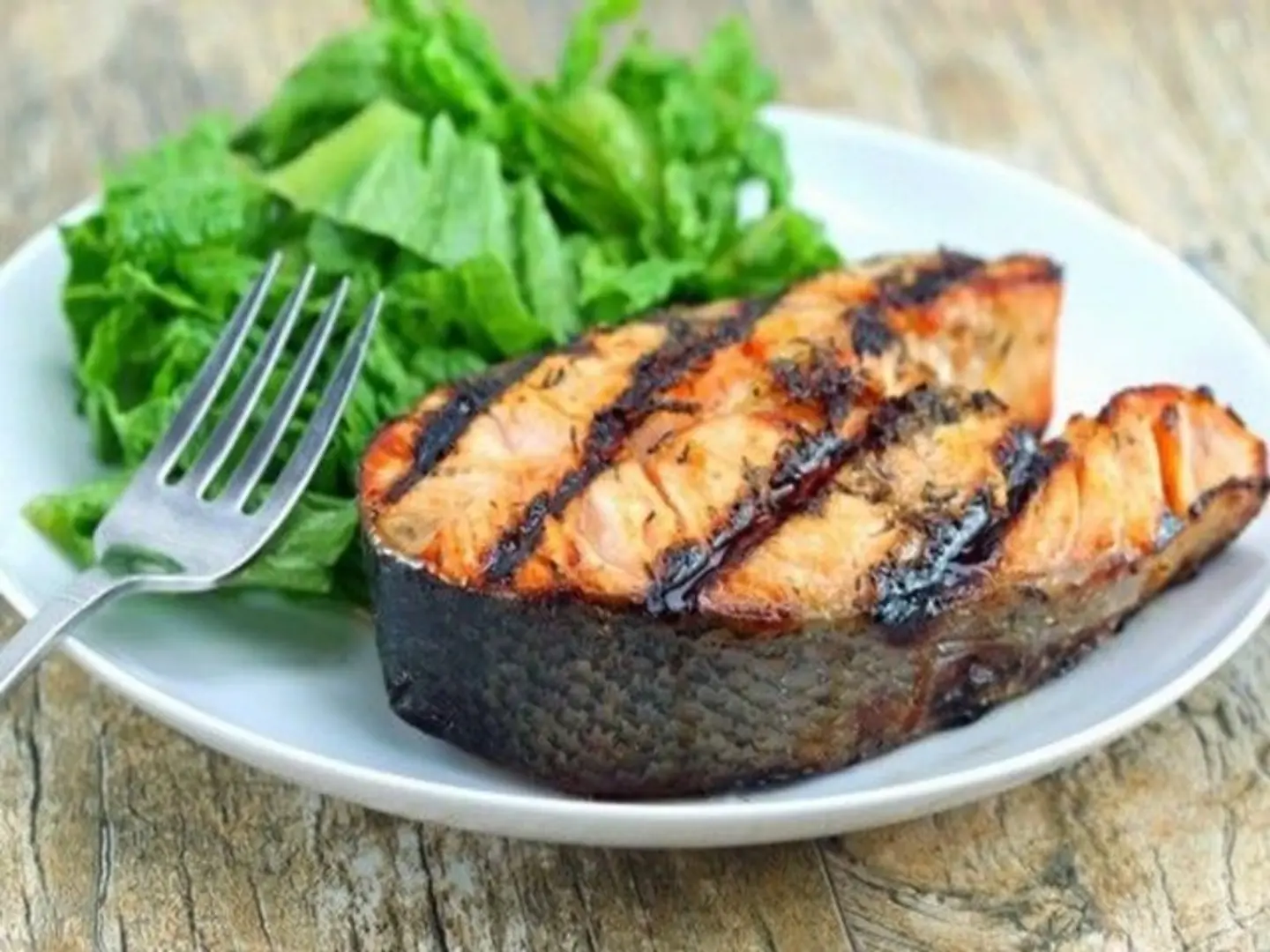 Salmon