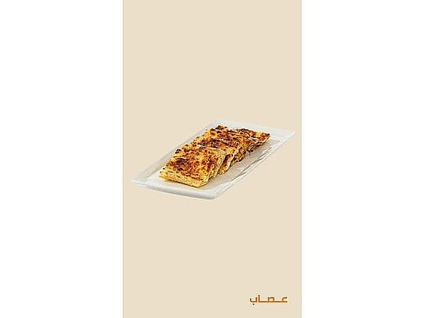 مطبق خضار تونه سائل