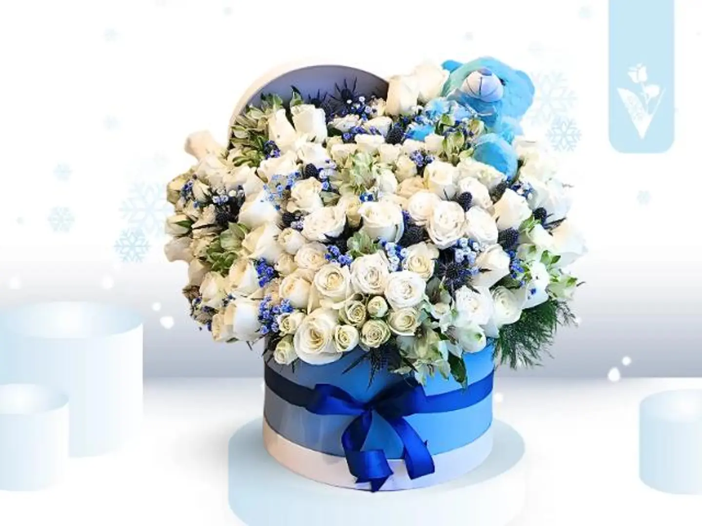 بوكس حلم الشتاء السماوي