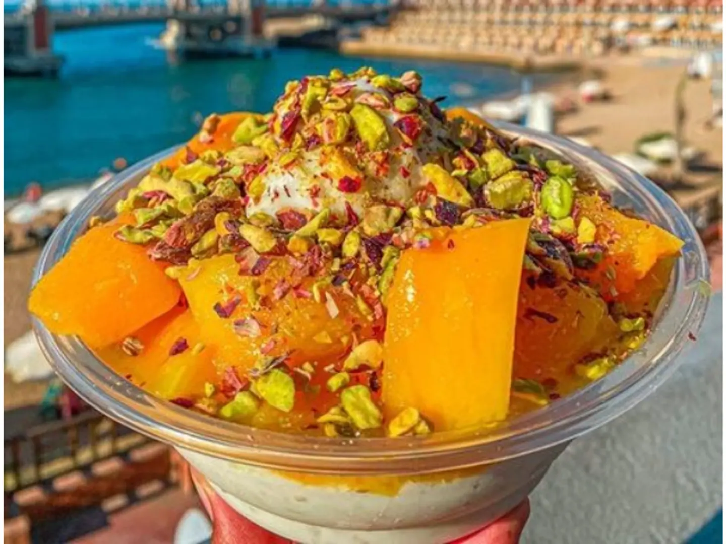 طبق المزاجنجي
