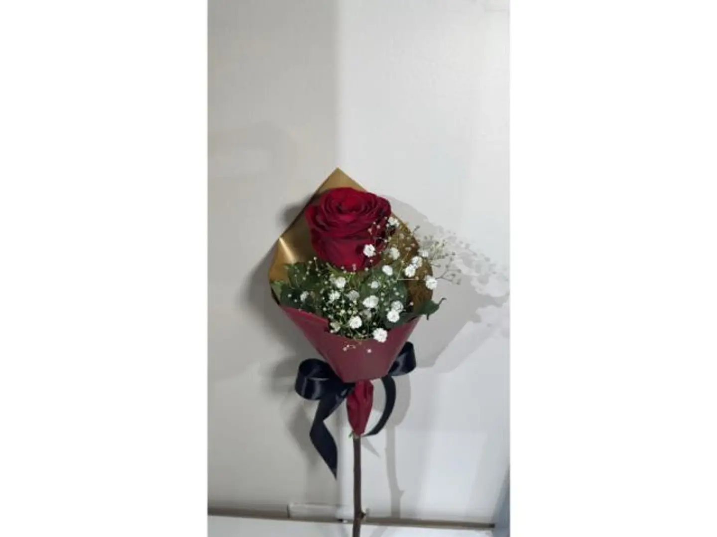 Gori With Baby Breath