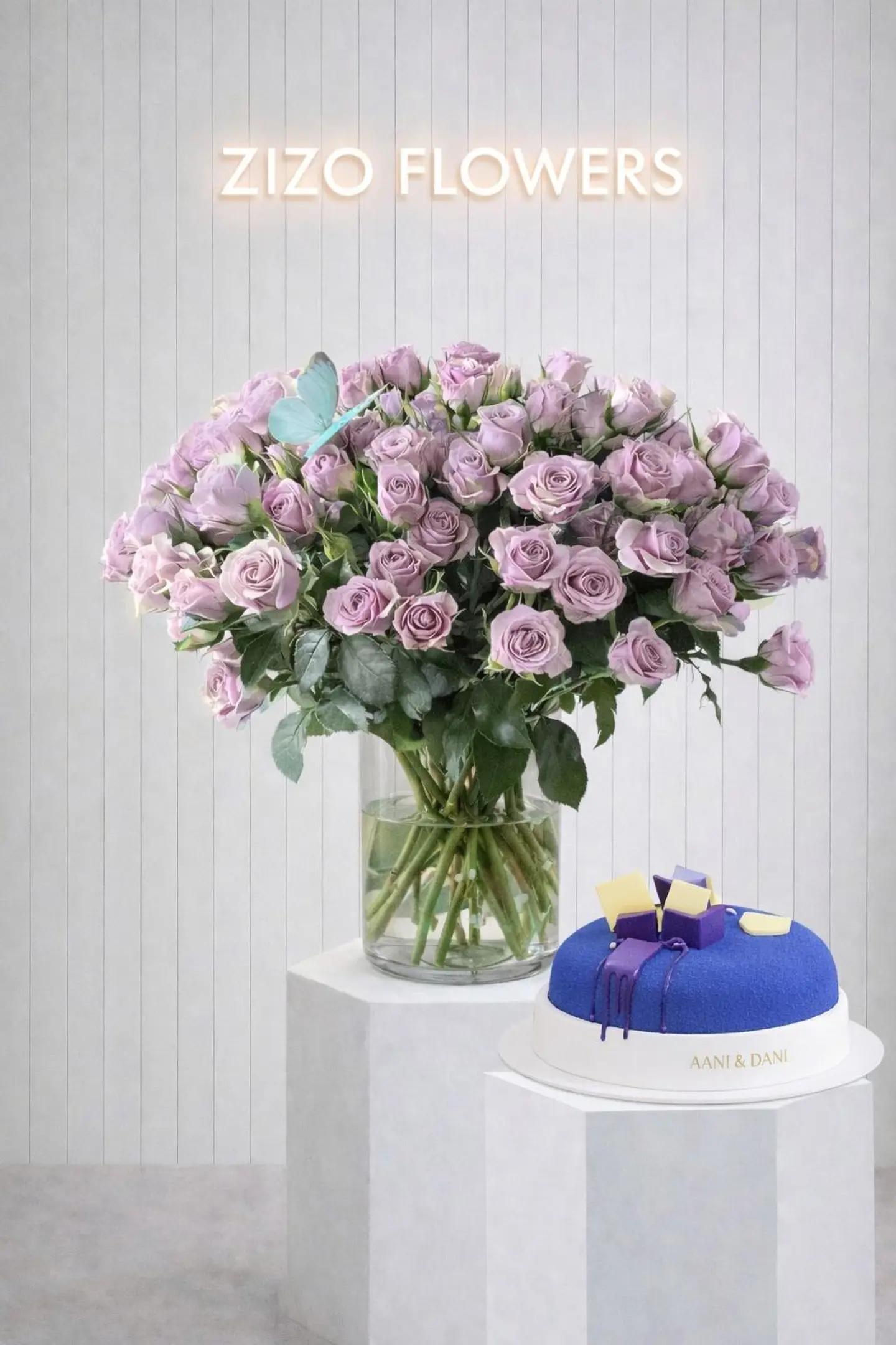 Rose With Cake, Ani Dani 13