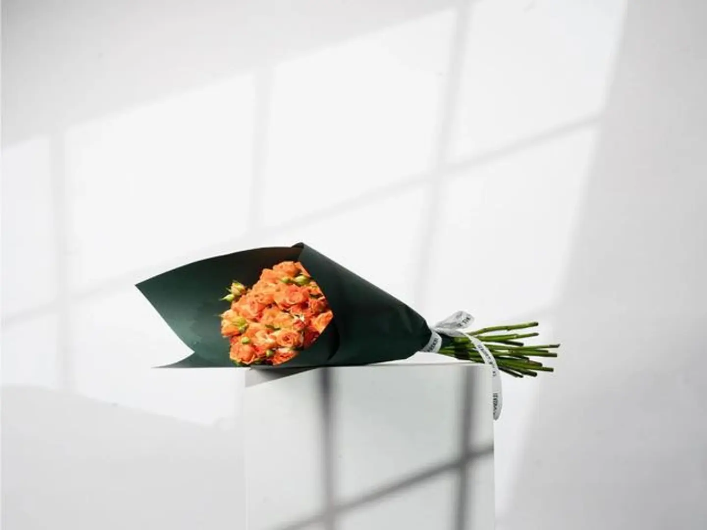 باقة القيقب