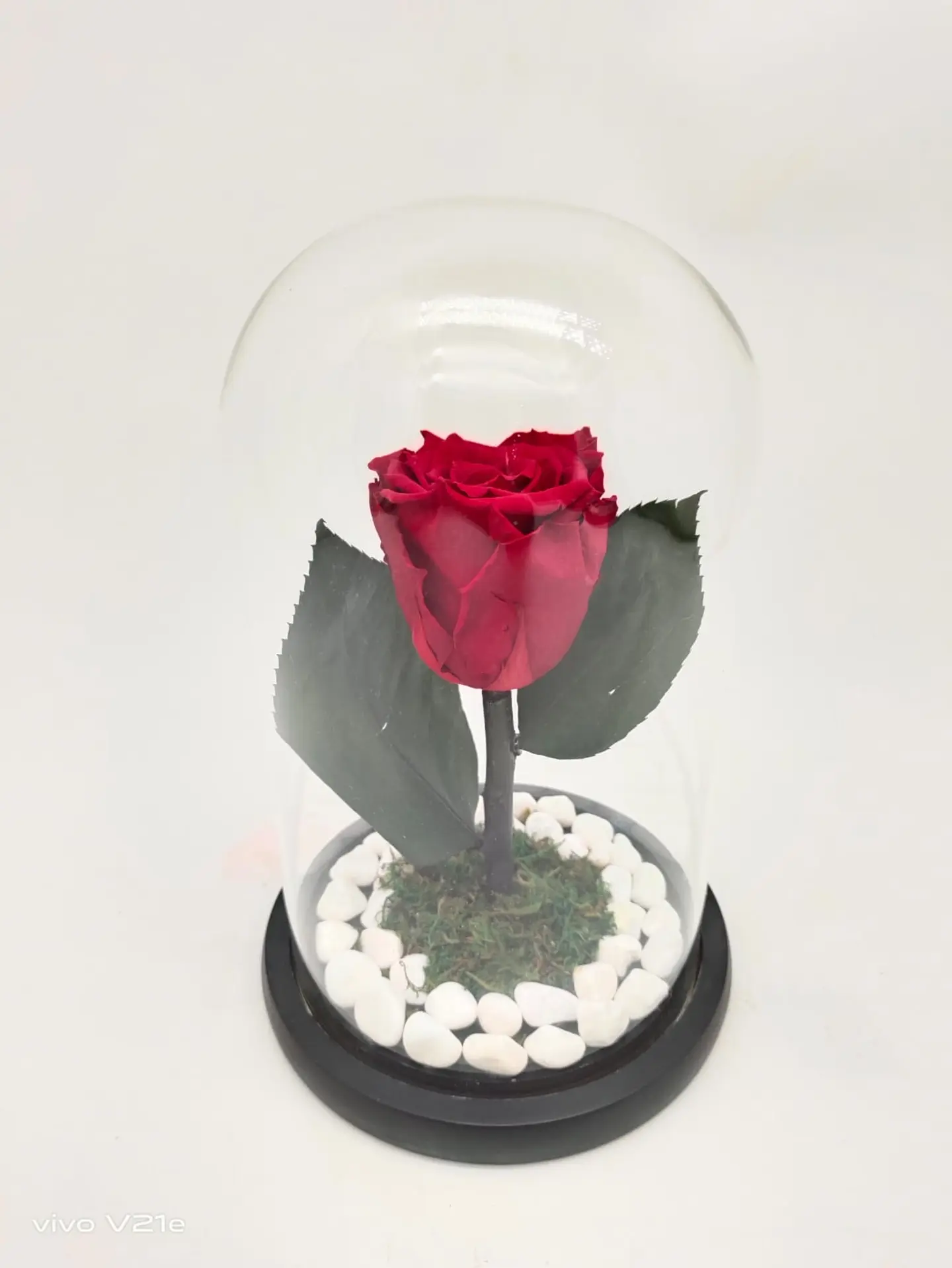 Permanent Natural Giant Rose Red 0238