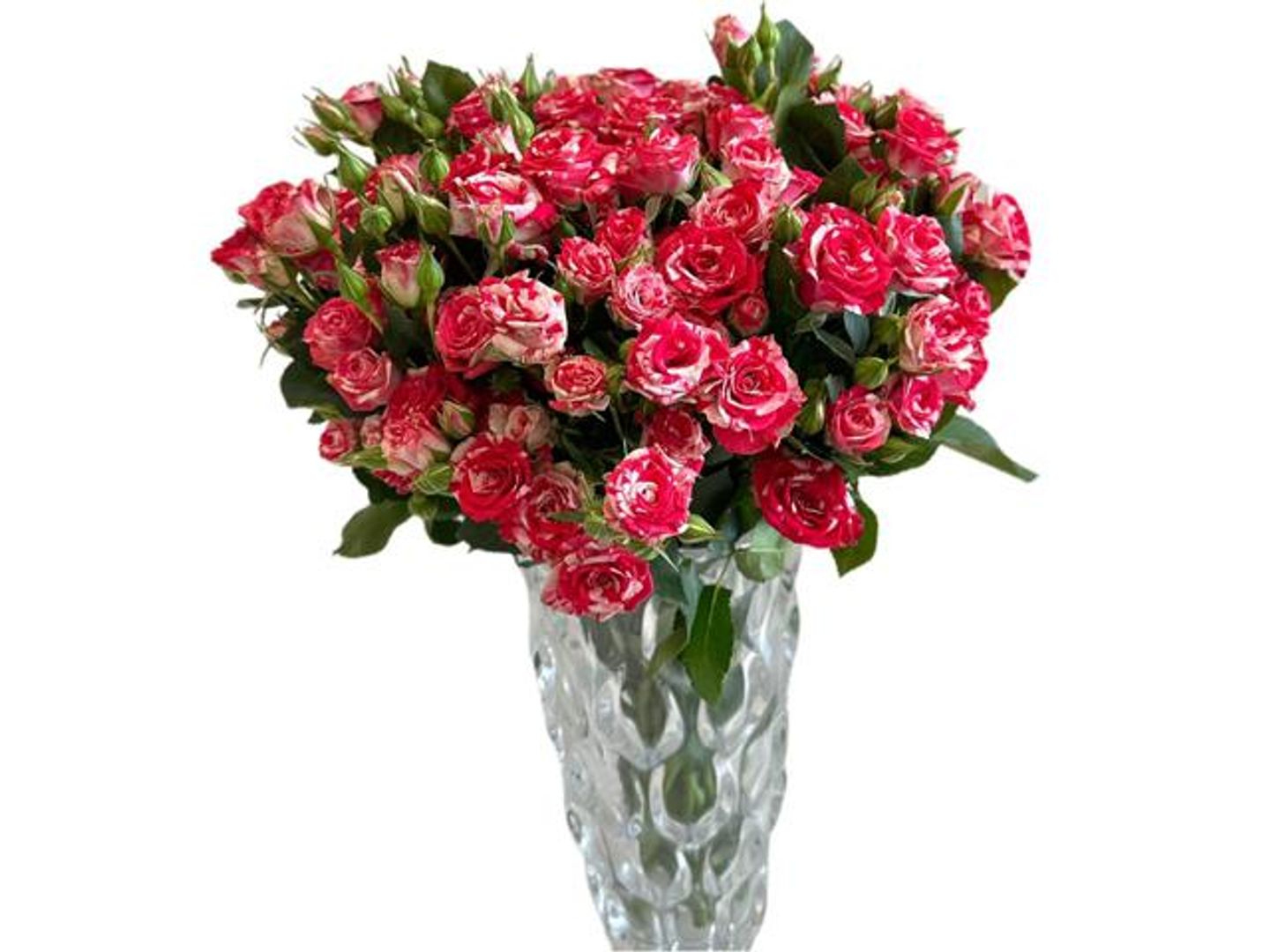 Elegant Baby Vase