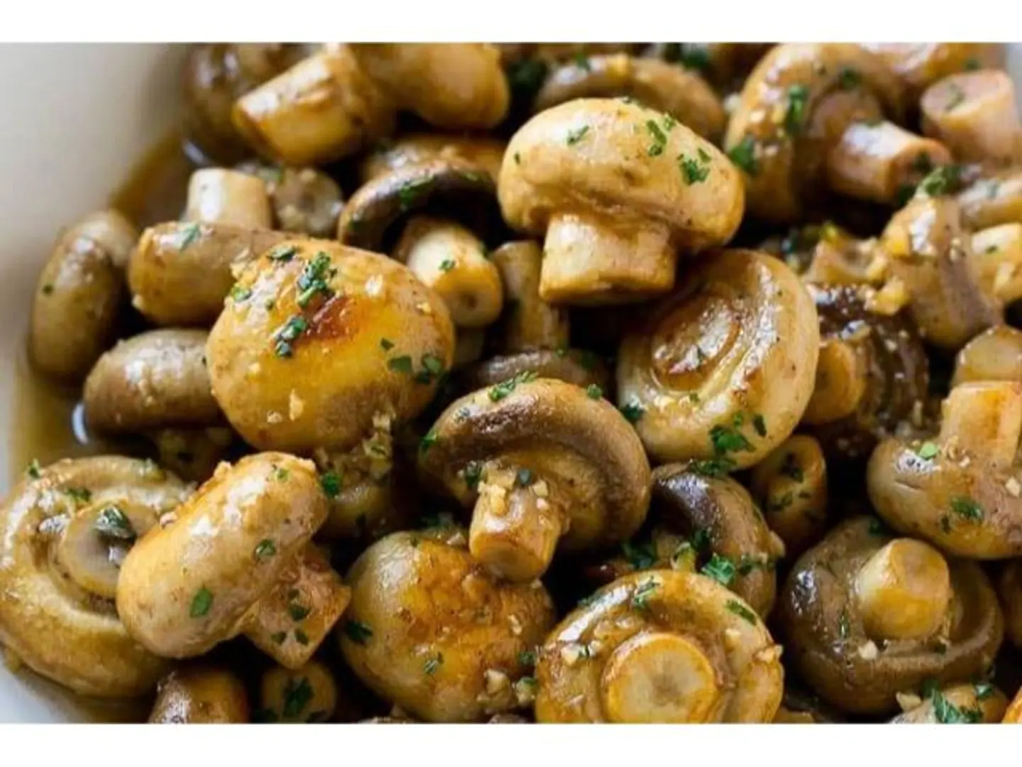 فطر منشوري
