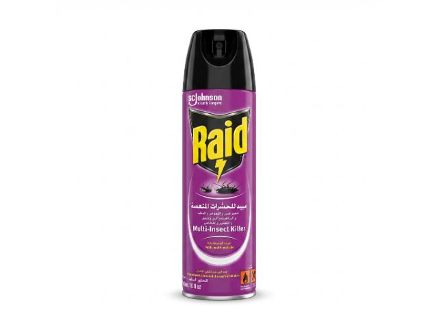 Raid Insect Killer 300ml