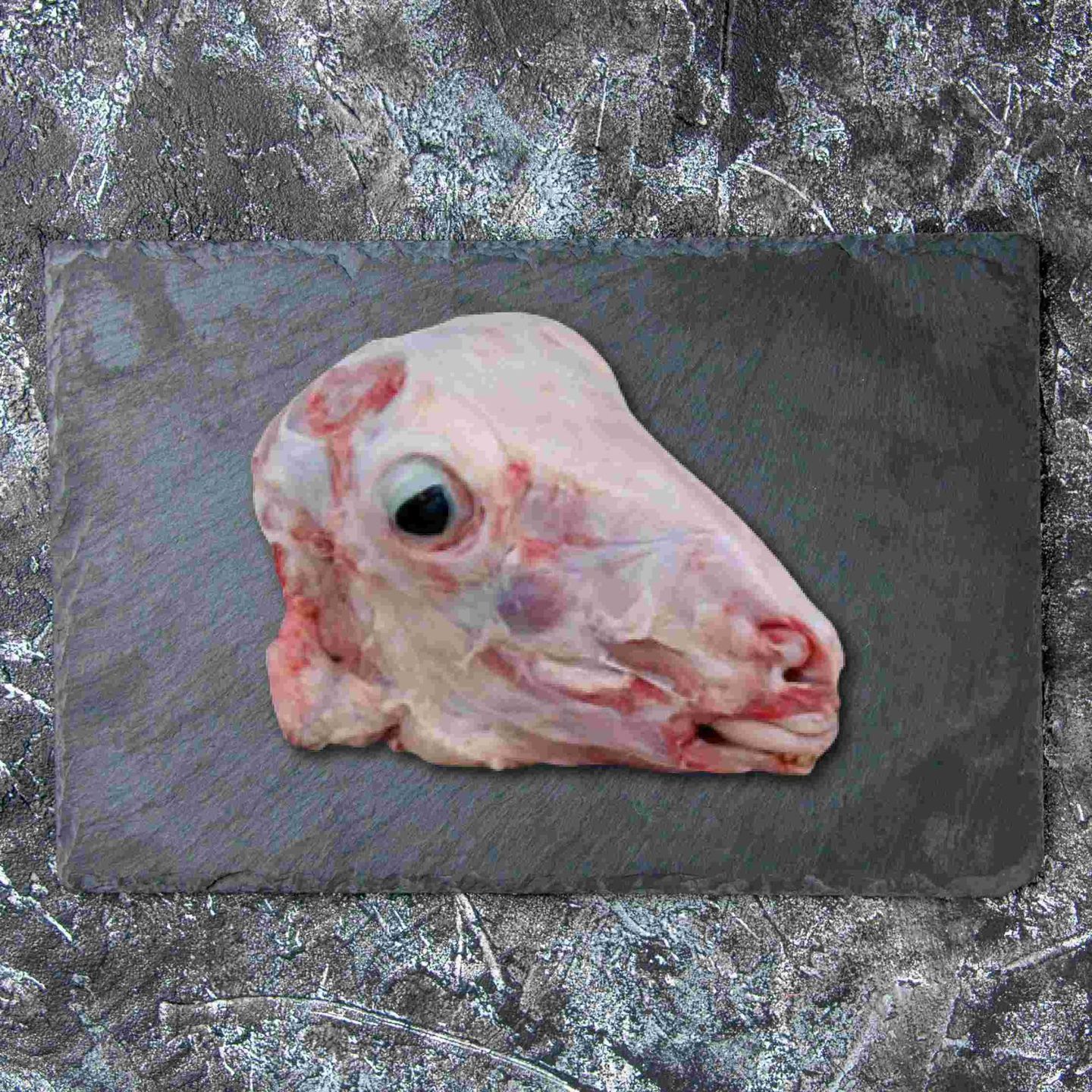 Sheep Head